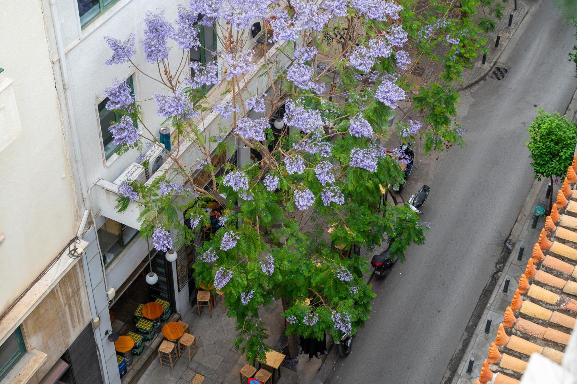 Hotel Hestia - Kolokotroni 23 Ateny Zewnętrze zdjęcie